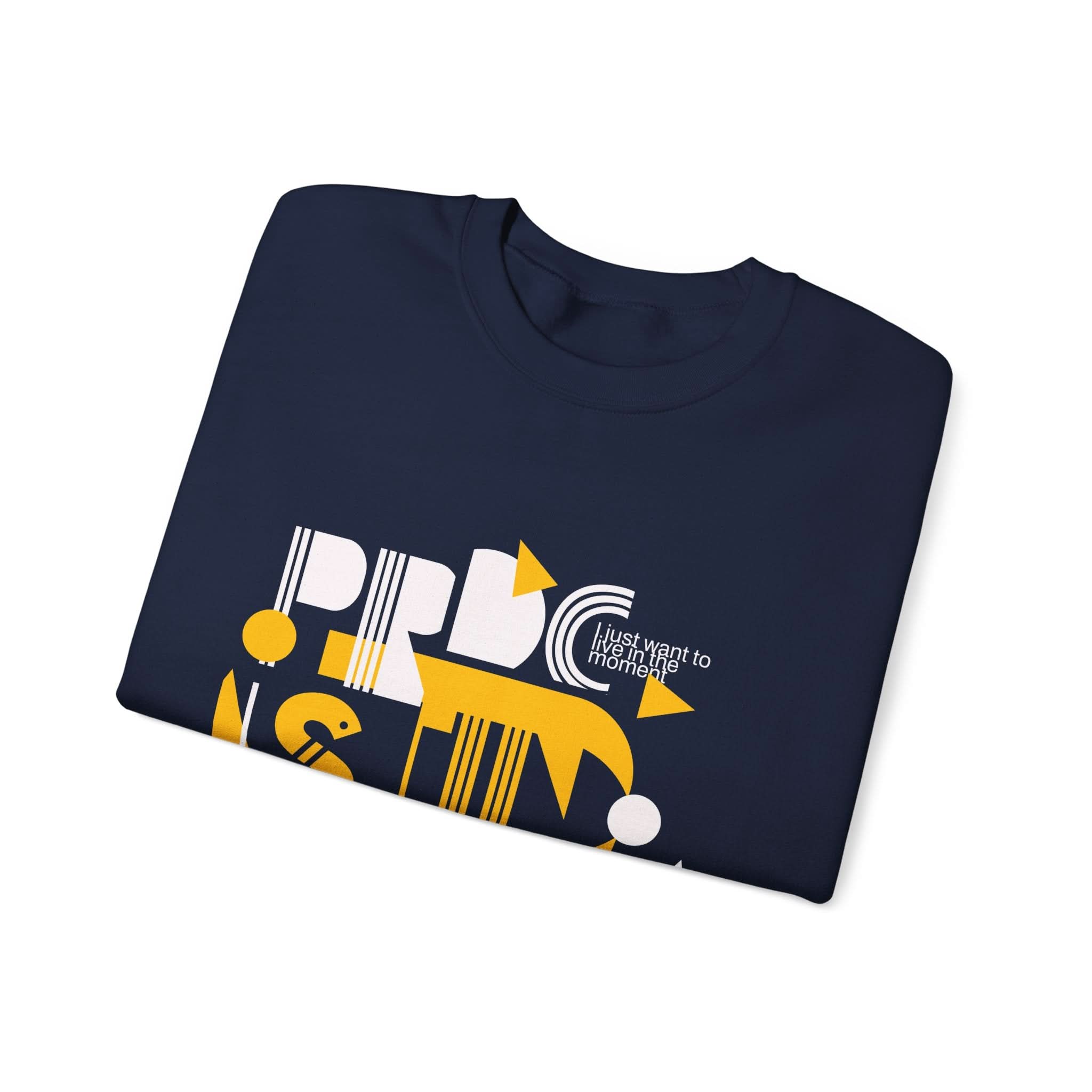 Playful Graphic Crewneck Sweatshirt – Cozy Casual Wear, Perfect for Lounging, Gifting, Birthdays, Everyday Comfort, Unique Designs